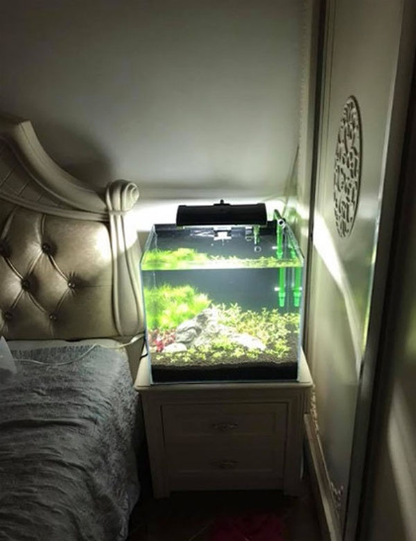 Vô tình hay cố ý lại tạo thêm một áp lực vật lí cho bản thân