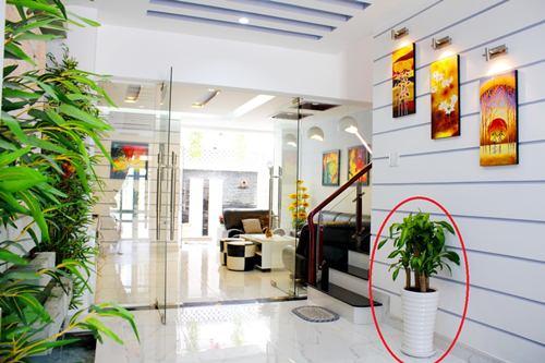 Phong thủy nhà ở, điều không nên chủ quan trong cuộc sống